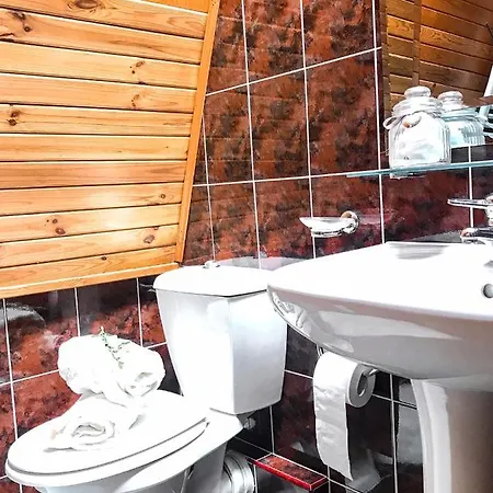 Pod Skocznia Homestay