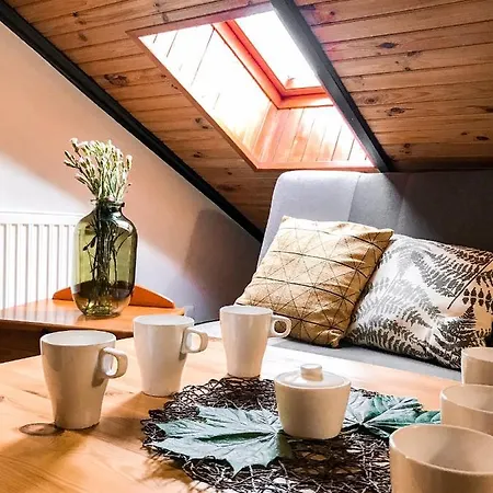 Pod Skocznia 民宿 *