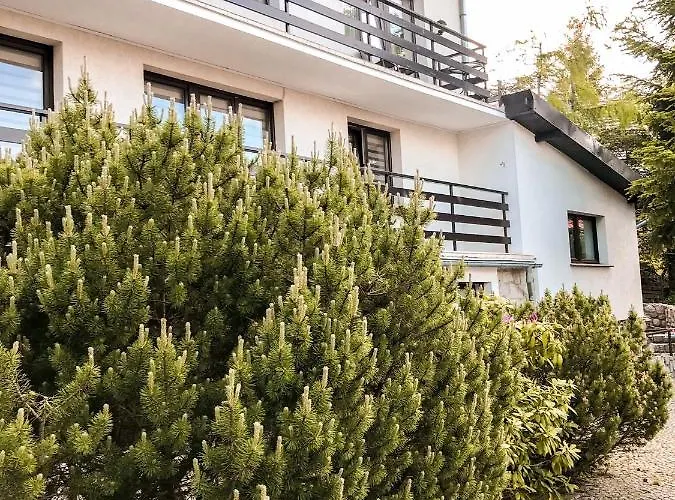 Pod Skocznia Homestay szállás