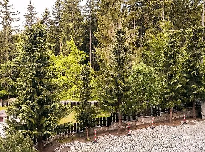 Pod Skocznia Homestay szállás